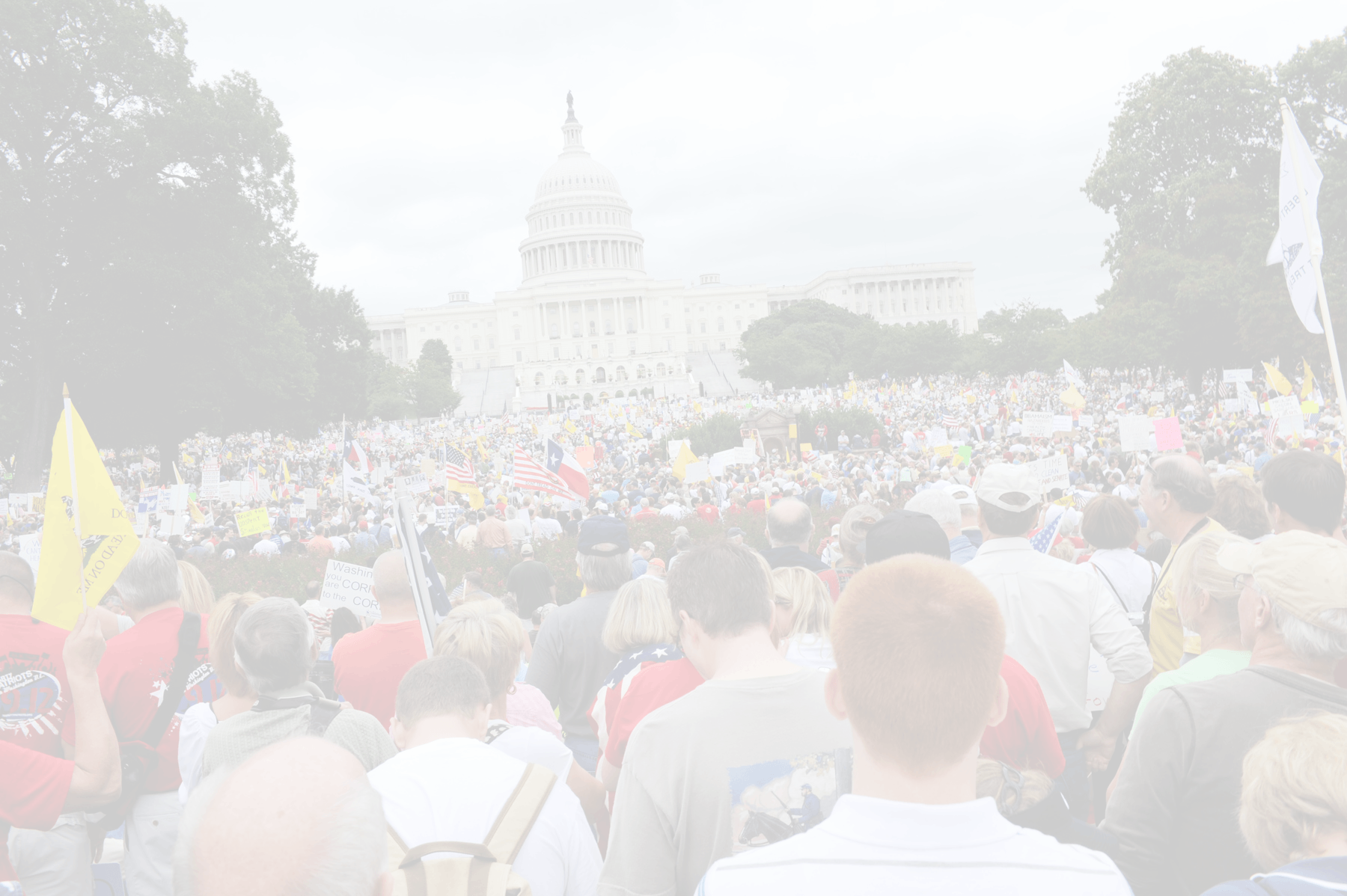 key-facts-black-gun-owners-association